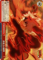カードを買う/ヴァイスシュヴァルツ/2025年度作品/FAIRY TAIL
