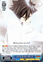 【ヴァイス】Ｕ◇アイスメイク グレイ