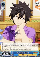 【ヴァイス】Ｃ◇オフの日 グレイ