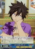 【ヴァイス】ＳＲ◇オフの日 グレイ