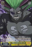 【ヴァイス】C)ホロ仕様◇“闇の文字”フリード