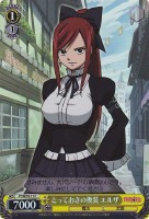 【ヴァイス】C)ホロ仕様◇とっておきの換装 エルザ