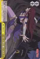 【ヴァイス】C)ノーマル仕様◇そして常に優しくあれ