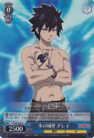 【ヴァイス】C)ホロ仕様◇氷の城壁 グレイ