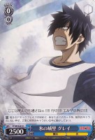 【ヴァイス】C)ノーマル仕様◇氷の城壁 グレイ