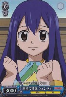 【ヴァイス】C)ホロ仕様◇素直で健気 ウェンディ