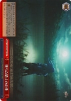 最優のクラス セイバー  英語版  サイン  Fate   ヴァイスシュヴァルツ 最優のクラス セイバー【ヴァイスシュヴァルツトレカ高価買取
