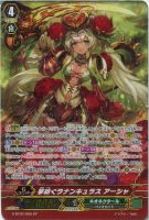 ラナンキュラスの花乙女 アーシャ【ヴァンガードトレカお買得