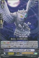 【ヴァンガード】C◇スカウティング・オウル