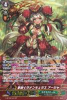 【ヴァンガード】SP◇夢紡ぐラナンキュラス アーシャ