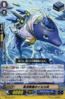 【ヴァンガード】Ｃ◇風浪跳躍のイルカ兵