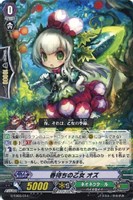 【ヴァンガード】ＴＤ◇春待ちの乙女　オズ