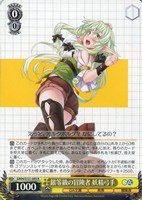銀等級の冒険者 妖精弓手