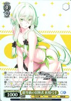 銀等級の冒険者 妖精弓手