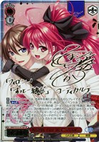 独占契約 フォロン＆コーティカルテ[サイン付]
