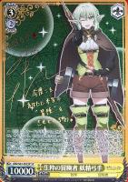 カードを買う/ヴァイスシュヴァルツ/2019年度作品/ゴブリン