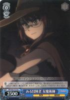 【ヴァイス】TD◇ある冒険者 女魔術師