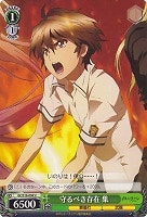 【ヴァイス】Ｕ◇守るべき存在 集