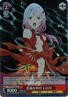 【ヴァイス】SR◇悲痛な叫び いのり