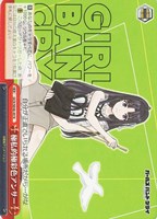 【ヴァイス】N◇極私的極彩色アンサー