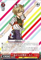 【ヴァイス】TD◇始まりの目撃者へ ルパ