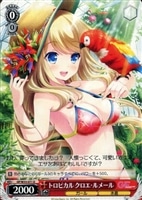 【ヴァイス】Ｕ◇トロピカル　クロエ・ルメール