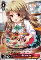 【ヴァイス】Ｃ◇教えます　小日向いちご