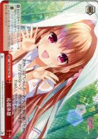 【ヴァイス】ＣＲ◇応援休憩