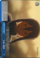 【ヴァイス】CC◇享楽の鏖殺