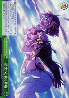 【ヴァイス】HU)キラ仕様◇星空へと続く夢路