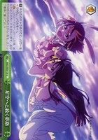 Z/X -Zillions of enemy X- 星火燎原編 爆煌！閃光星＜ステラ