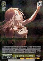 【ヴァイス】PR◇小さな野望 十王星南