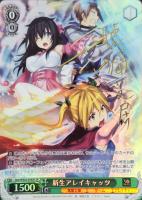 【ヴァイス】SP)サイン付◇新生アレイキャッツ