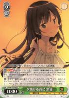 【ヴァイス】U◇夕焼けを背に 黒猫