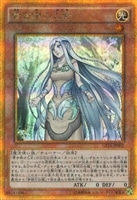 星態龍【遊戯王トレカ高価買取価格査定：トレコロ】