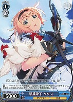 【ヴァイス】C◇懸垂降下 クリス