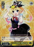 Je vous suis attache 由美子SP&ロワゾー・ブリューRRR Je vous suis attache 由美子【ヴァイス