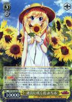 【ヴァイス】ＲＲ◇迷宮に咲く花　みちる