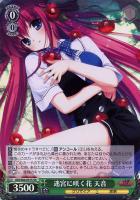 楽園を目指す少女 一姫【ヴァイスシュヴァルツトレカお買得価格
