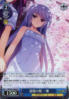 【ヴァイス】SR◇追憶の桜 一姫
