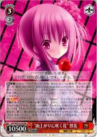 【ヴァイス】RR◇“雨上がりに咲く花” 智花