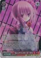 【ヴァイス】SP)サイン付◇“雨上がりに咲く花” 智花