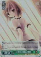 【ヴァイス】RRR◇夕暮れの邂逅 愛莉