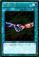 テラ・フォーミング【遊戯王トレカお買得価格通販：トレコロ】