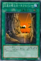 【遊戯王】ノーマル◇王家の眠る谷-ネクロバレー