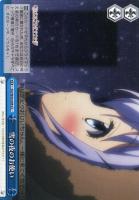 【ヴァイス】CC◇雪の夜のお使い