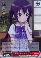 ヴァイスシュヴァルツブロカントココアssp