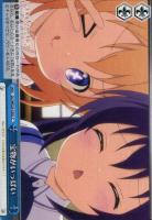 【ヴァイス】Ｃ）ノーマル仕様◇宝物がいっぱい[C品番]