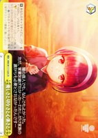 カードを買う/ヴァイスシュヴァルツ/2024年度作品(並び順：新着