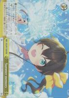 【ヴァイス】RRR◇Summer memory